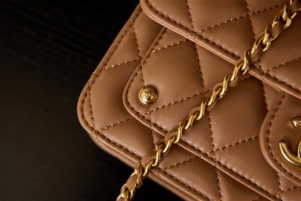 2026131222332700 650